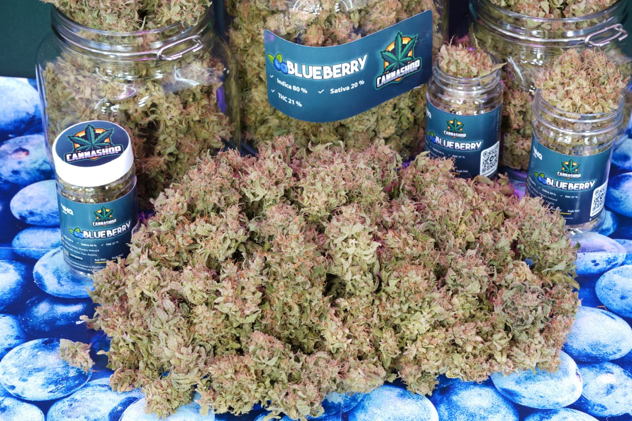 Blueberry